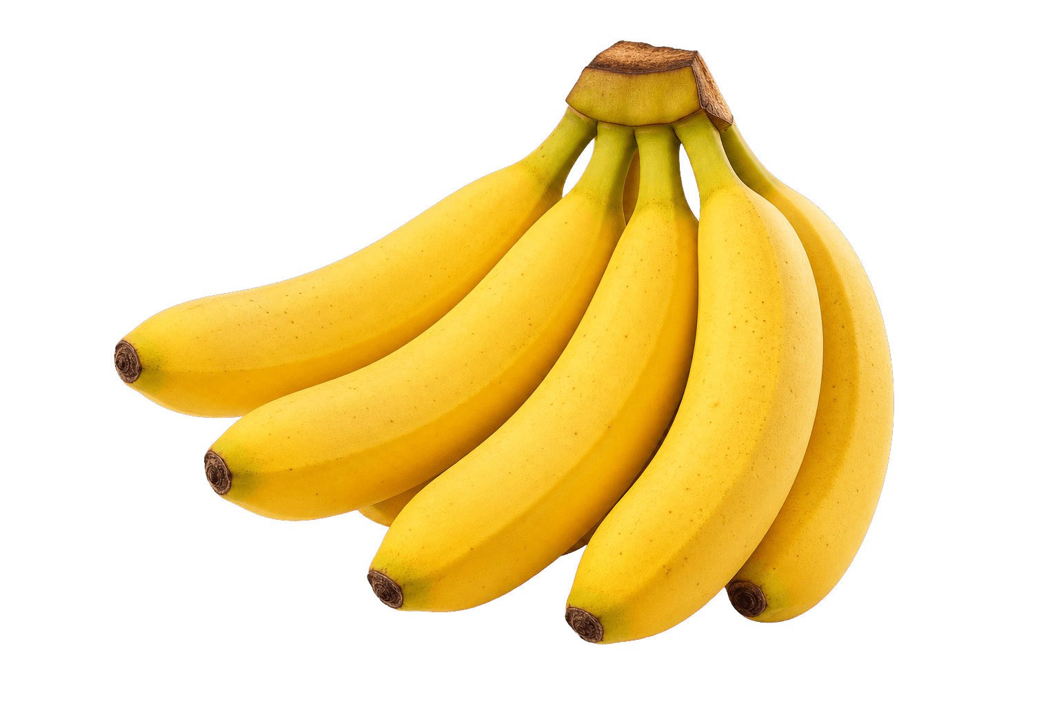 Fresh imported Vero Gıda banana bunch