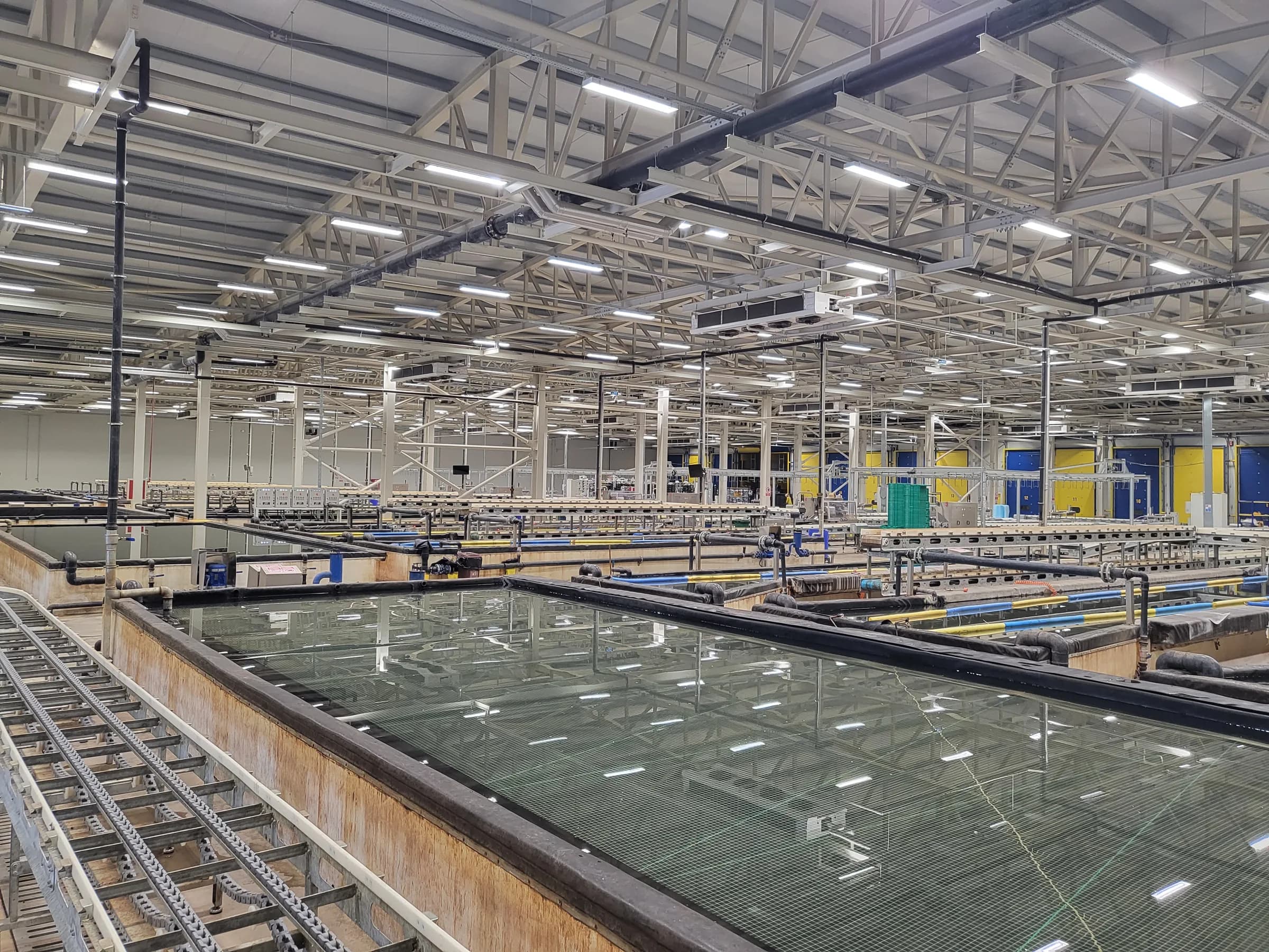 Overview of the five-line banana production floor