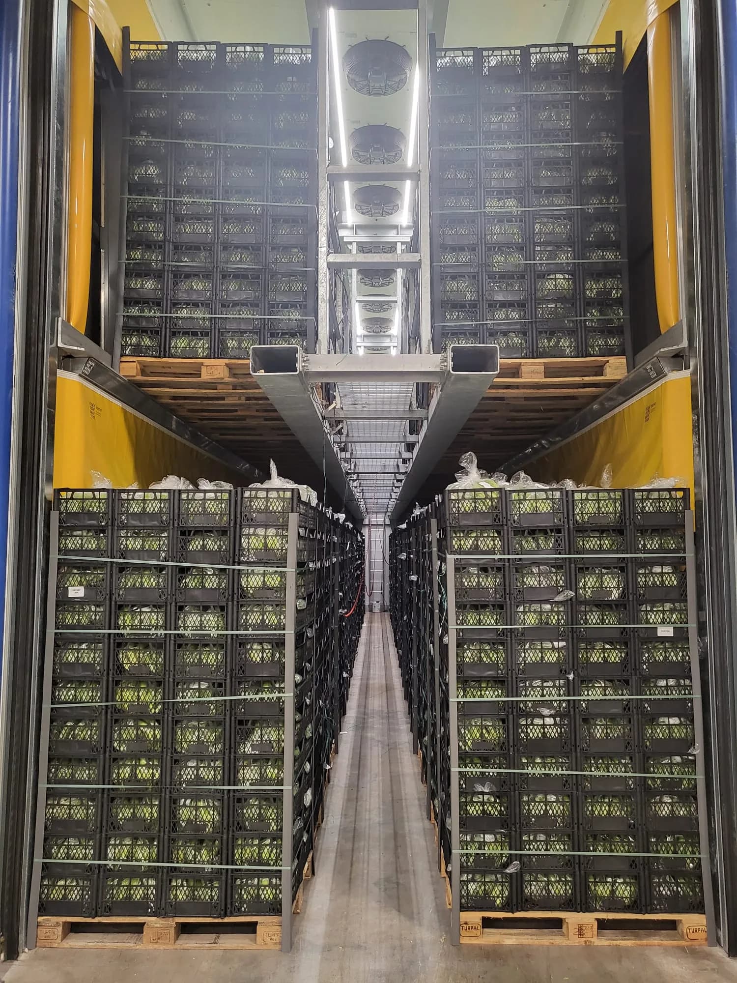 Loaded ripening room