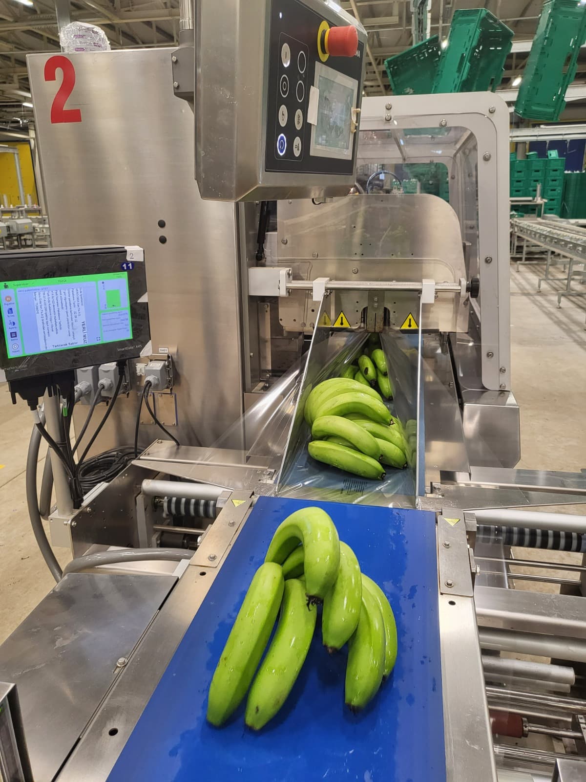 Hygienic Blue Conveyor Belt - Vero Gıda banana processing and packing stage