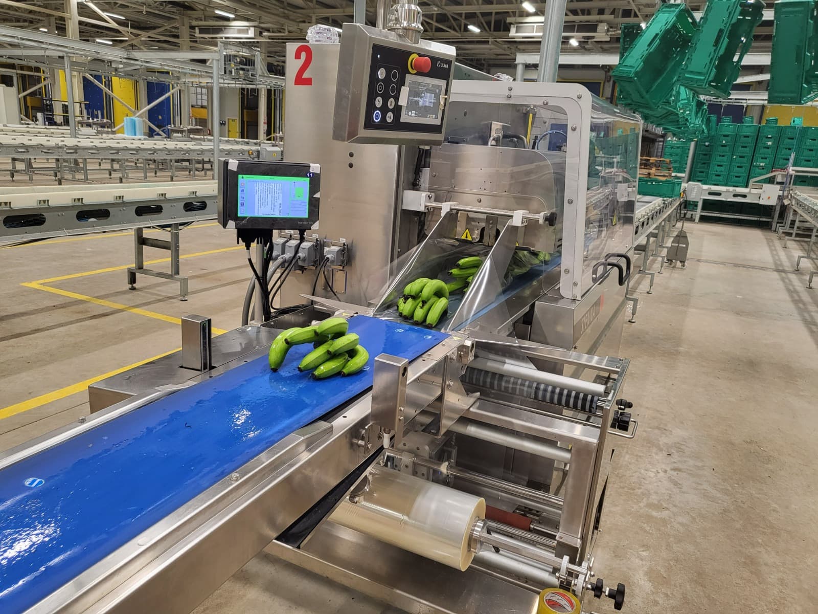 Precision Packing and Weighing Station - Vero Gıda banana processing and packing stage
