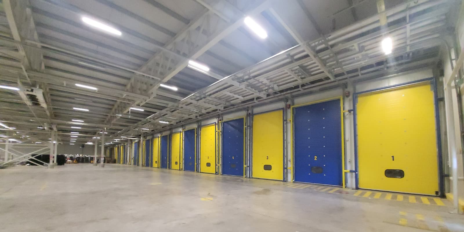 Modern Dispatch Bay - Vero Gıda banana processing and packing stage